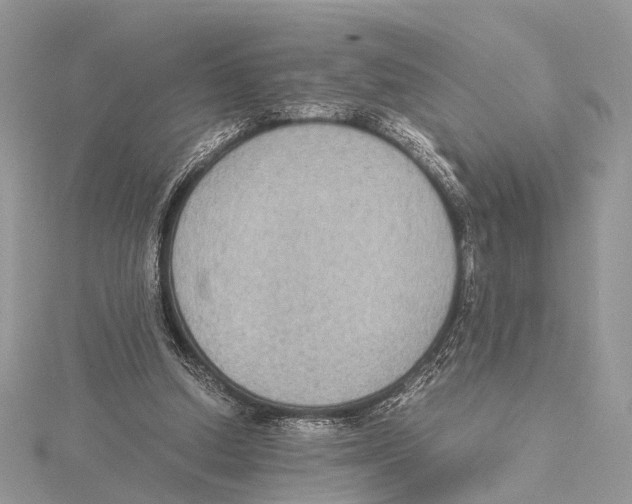 X0000115440250200912020951