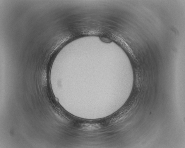 X0000115440251200912020951