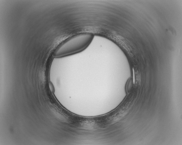 X0000115440252200912020951