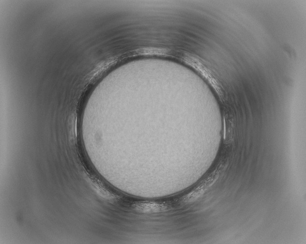 X0000115440253200912020951