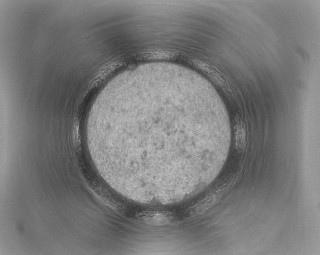 X0000115440254200912020951