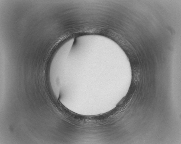 X0000115440256200912020951