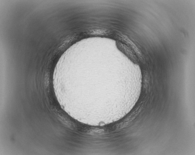 X0000115440257200912020951