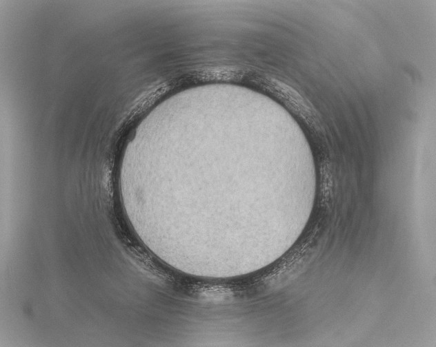 X0000115440258200912020951