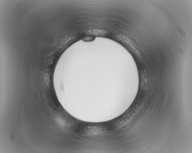 X0000115440259200912020951