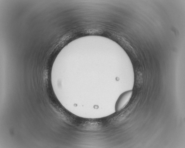 X0000115440260200912020951