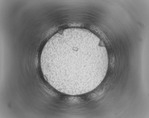 X0000115440261200912020951