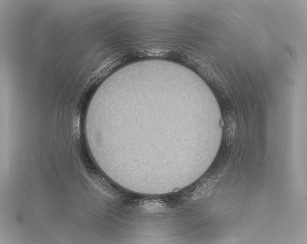 X0000115440262200912020951