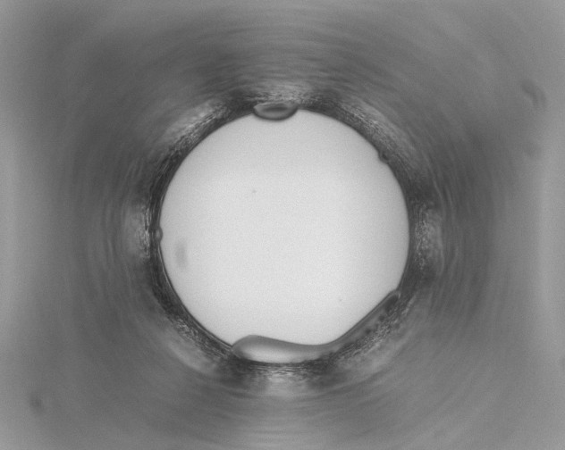 X0000115440264200912020951