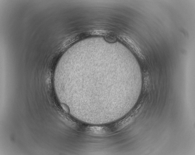 X0000115440265200912020951