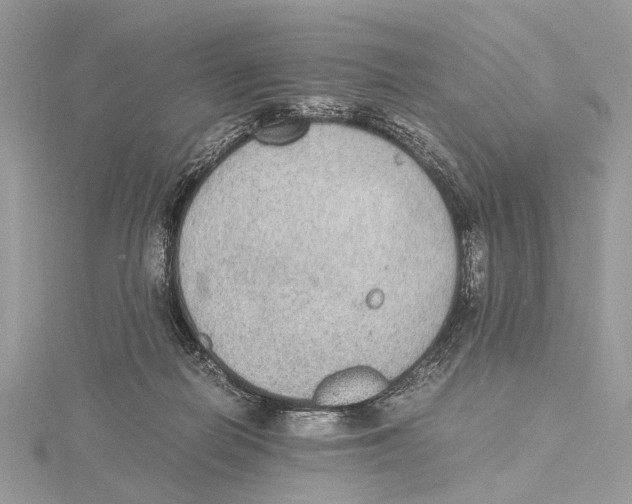 X0000115440266200912020951