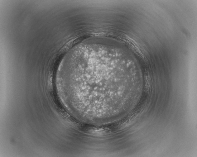 X0000115440267200912020951