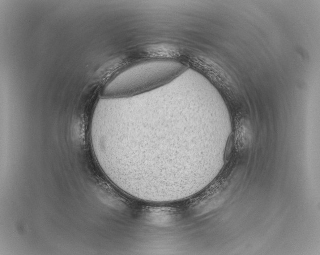 X0000115440268200912020951