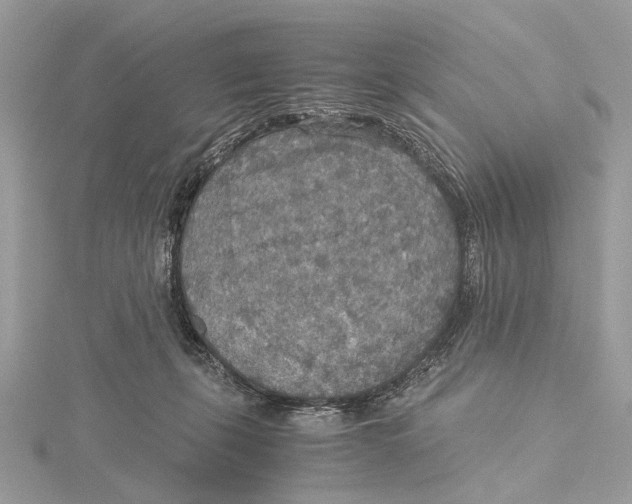 X0000115440271200912020951