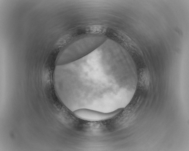 X0000115440272200912020951