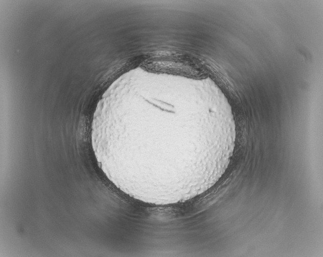 X0000115440273200912020951