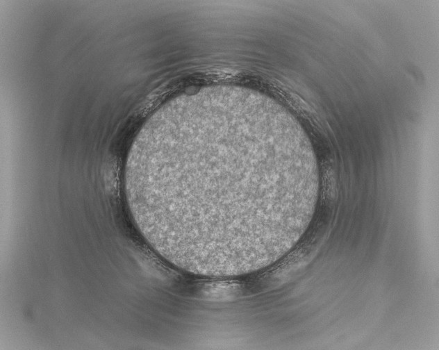 X0000115440274200912020951