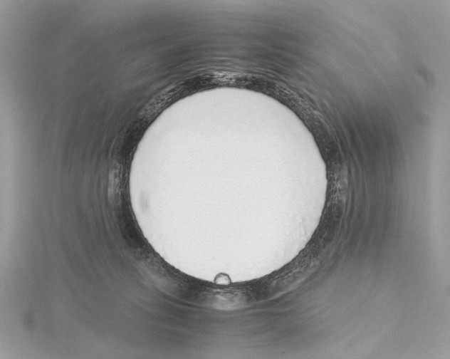 X0000115440275200912020951