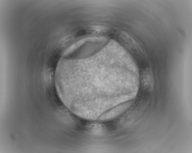 X0000115440276200912020951