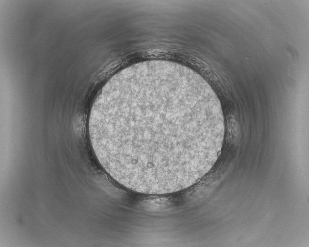 X0000115440278200912020951