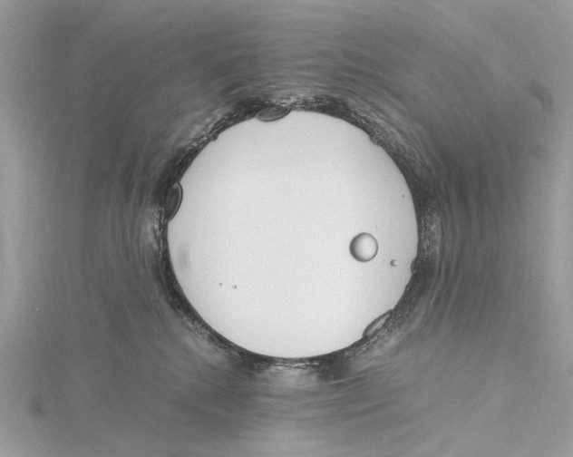 X0000115440280200912020951