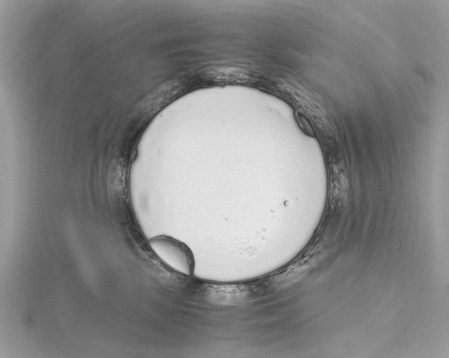 X0000115440281200912020951