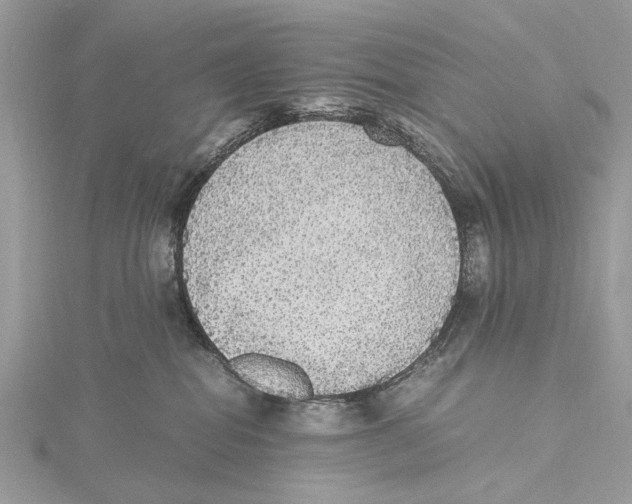 X0000115440282200912020951