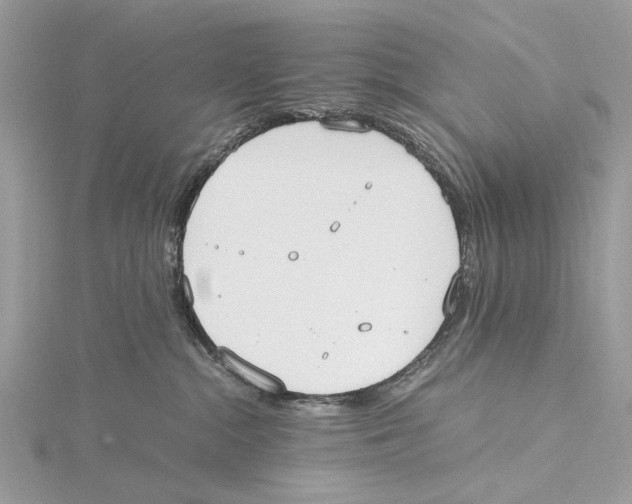 X0000115440284200912020951