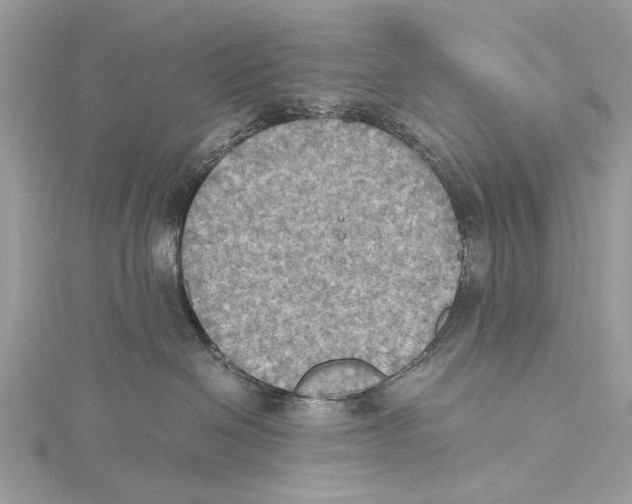 X0000115440286200912020951