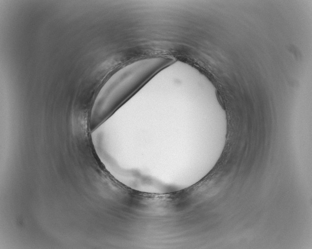 X0000115440288200912020951