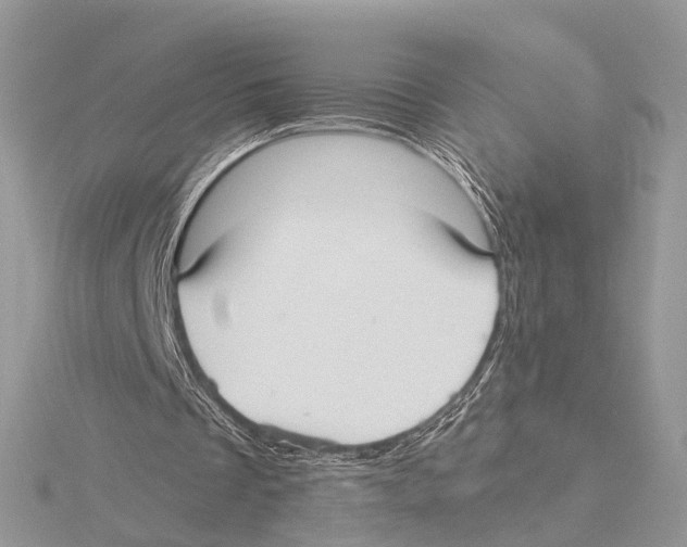 X0000115440289200912020951