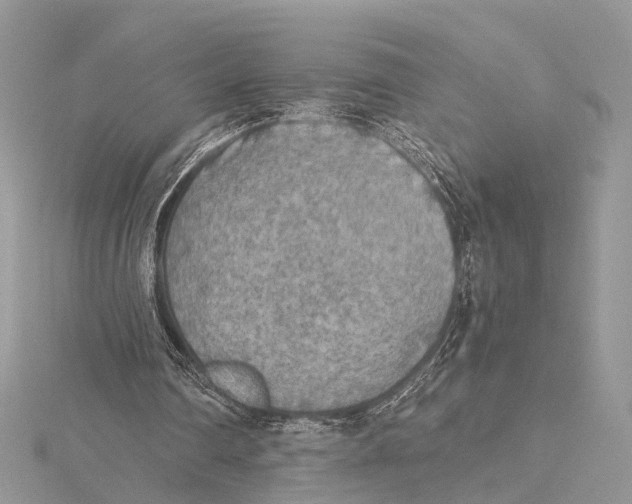 X0000115440290200912020951