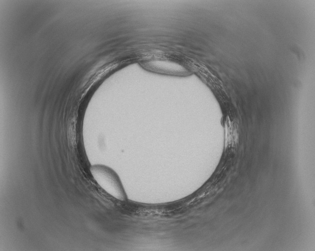 X0000115440291200912020951