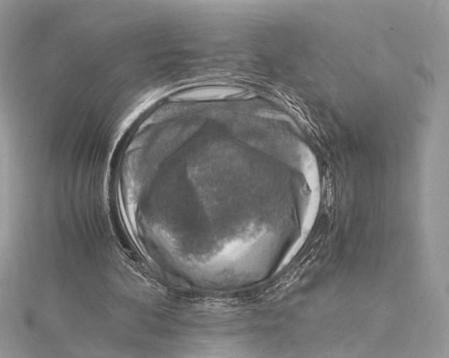 X0000115440292200912020951