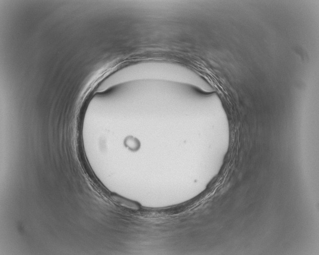 X0000115440293200912020951