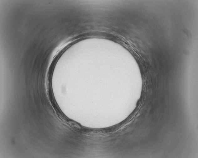 X0000115440294200912020951