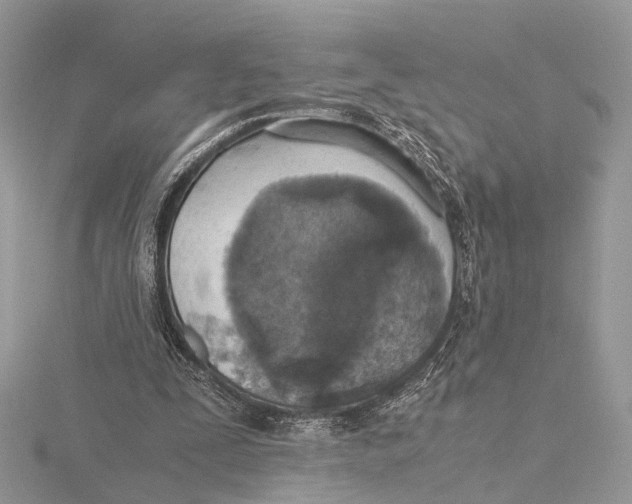 X0000115440295200912020951