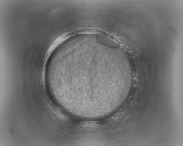 X0000115440296200912020951