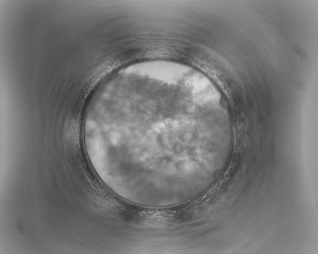 X0000115440297200912020950