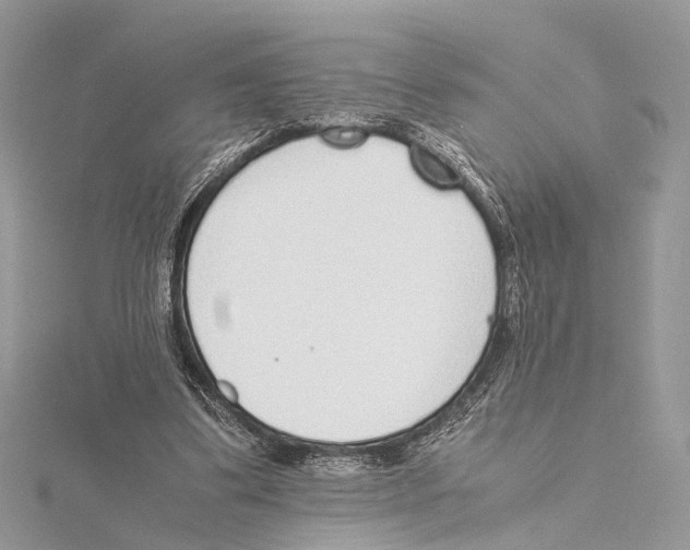 X0000115440299200912020950