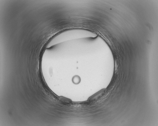 X0000115440301200912020950