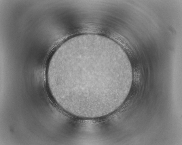 X0000115440302200912020950