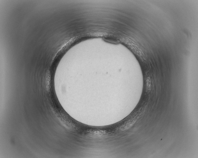 X0000115440304200912020950