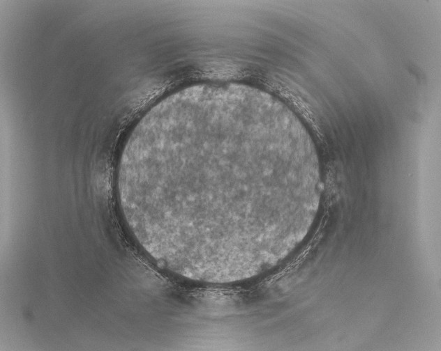 X0000115440305200912020950