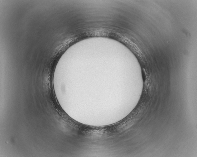 X0000115440306200912020950