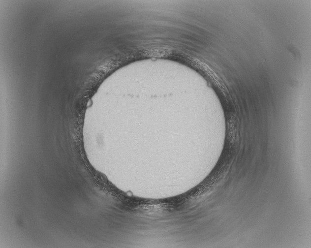 X0000115440307200912020950