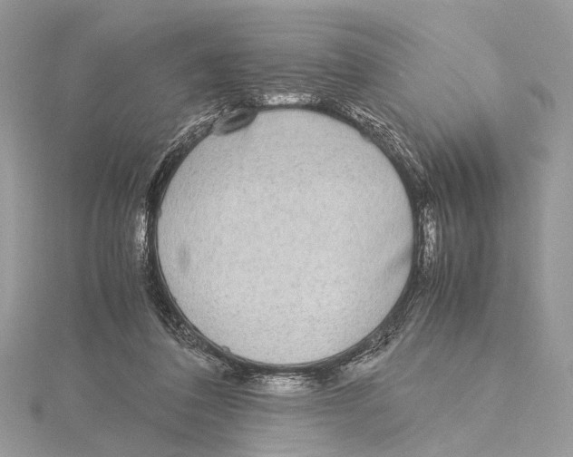 X0000115440308200912020950