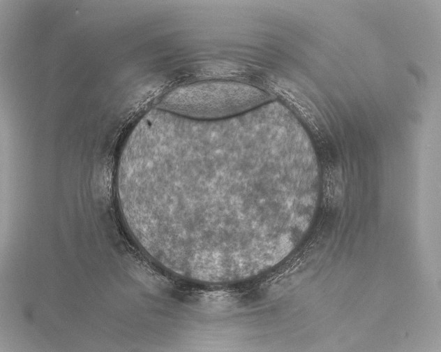 X0000115440309200912020950