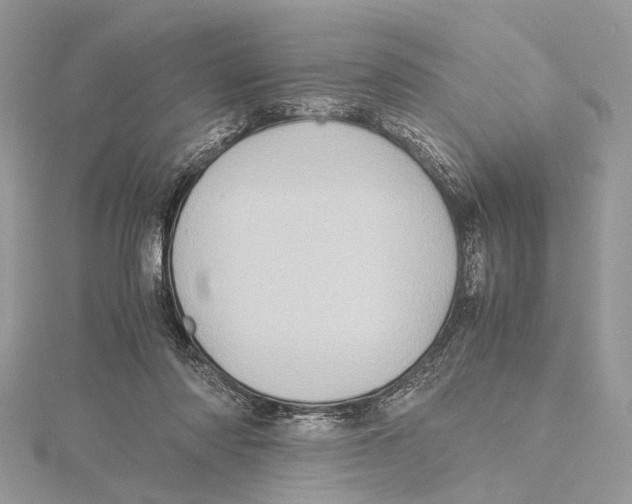 X0000115440310200912020950