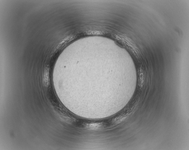 X0000115440312200912020950